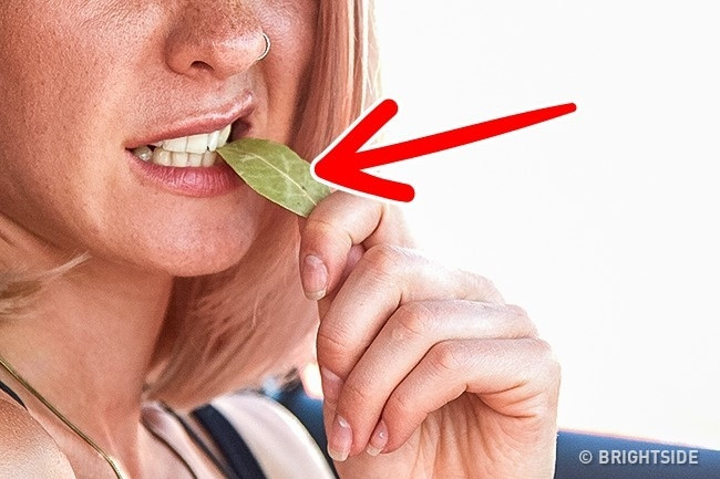 12 mẹo hay từ các tài xế giàu kinh nghiệm